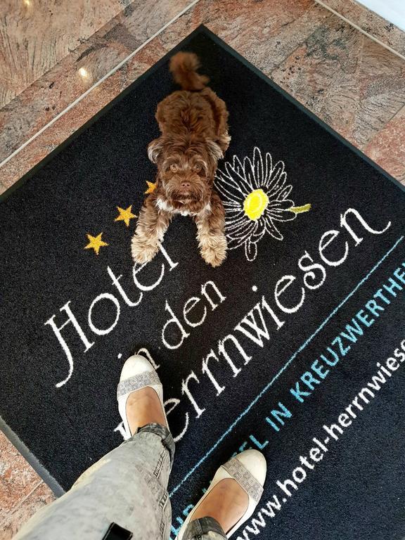 Hotel In Den Herrnwiesen Wertheim Exterior foto